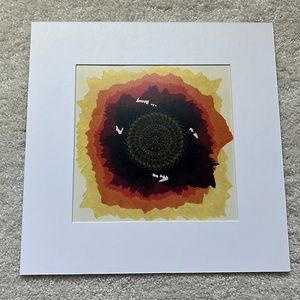 Geometric Nature Wall Art Print